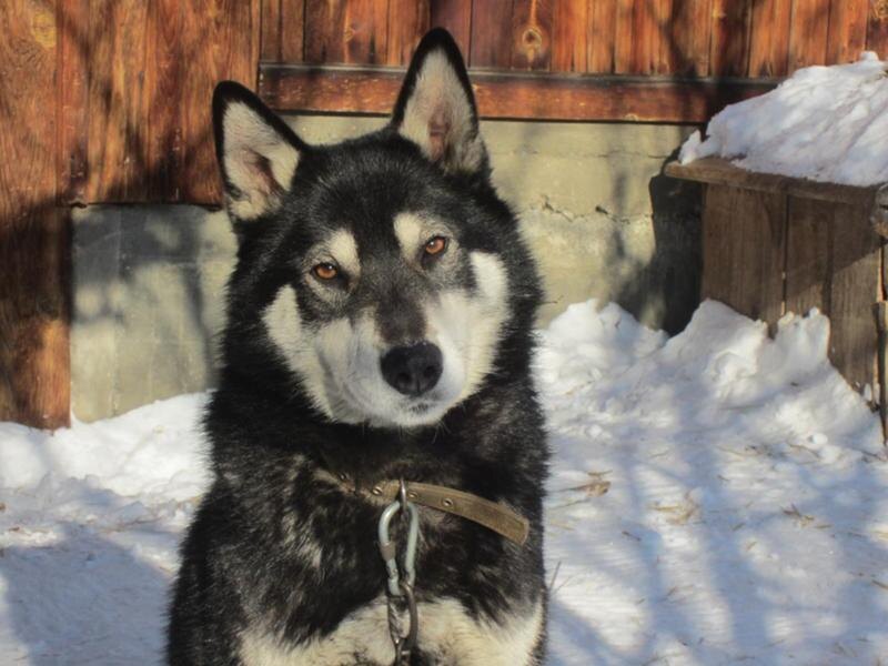 -Я не тороплюсь расти!