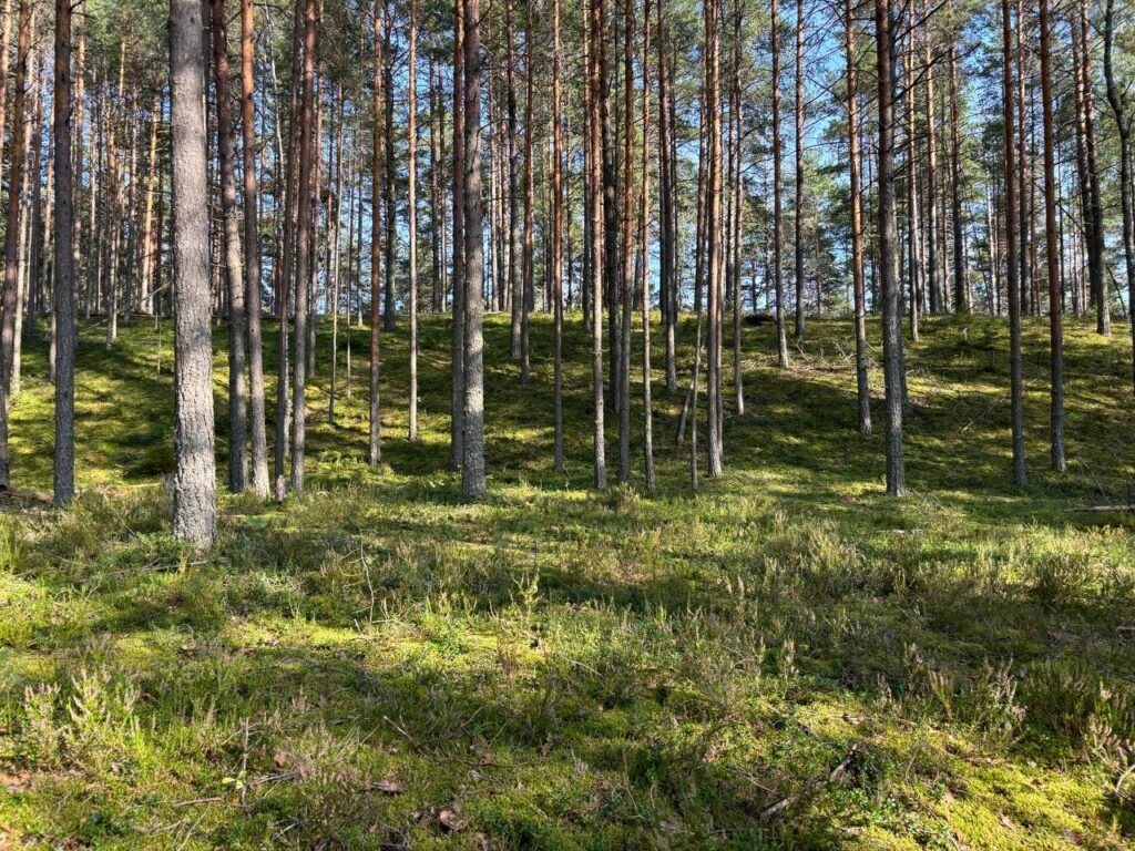    Фото: sn-gazeta.ru Юля Баранова