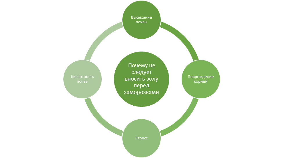 Почему не следует вносить золу перед холодами