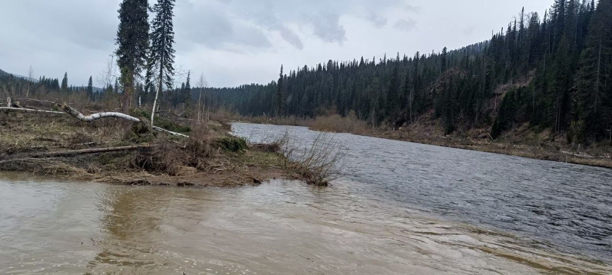     Золотодобытчики загрязнили несколько рек на юге Красноярского края