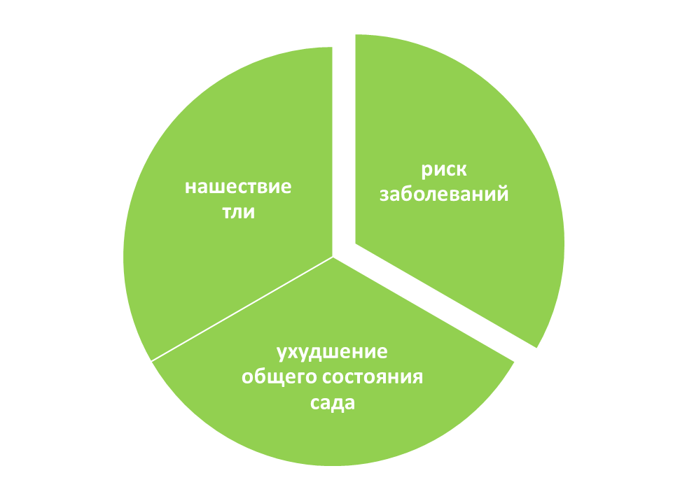 Вред от муравьев