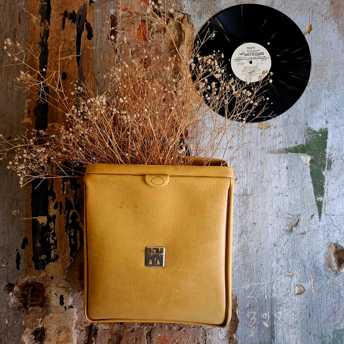 Июль 2025 года, Тула, гербарий в Учётном переулке. Фото автора.