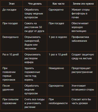 Защита томатов от фитофторы