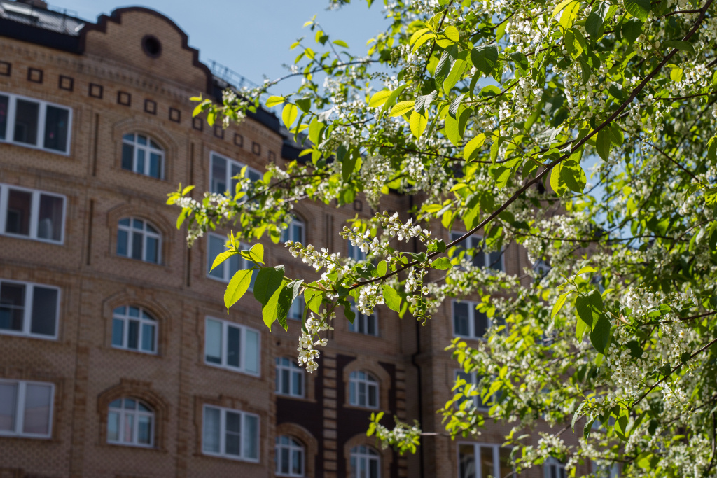    Главный аллерголог-иммунолог Югры предостерегает югорчан от самолечения во время сезонных обострений аллергии