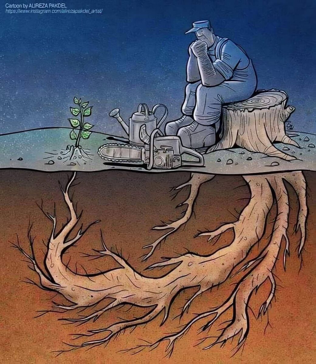 Тронуло, с просторов интернета