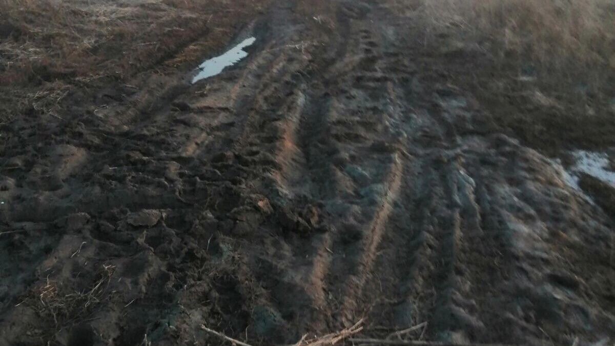     Источник: 1MI