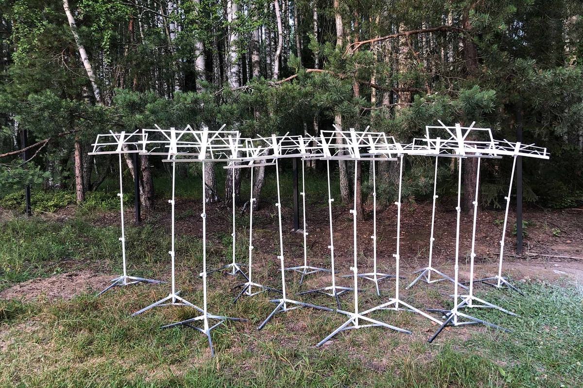    Елена Алексеева, «Партитура тишины»