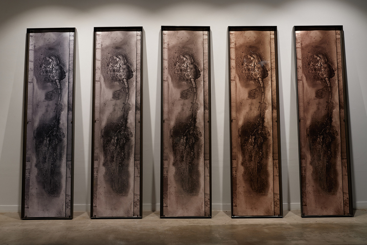    Елена Соловьева, Post Florum