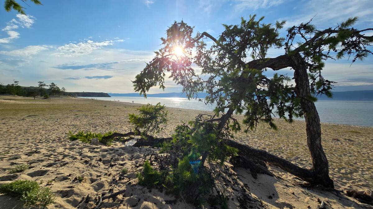 Южный берег