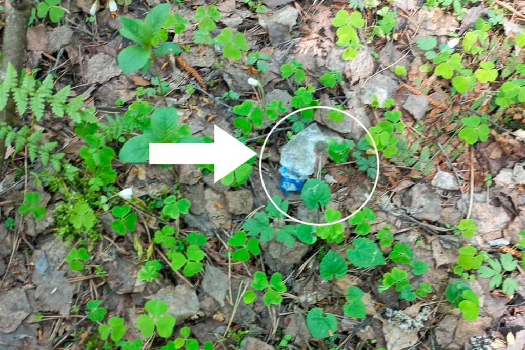    В конце апреля подозреваемых 33 и 36 лет задержали в лесу по ориентировке. Во время досмотра у них нашли свертки с веществом черного цвета.