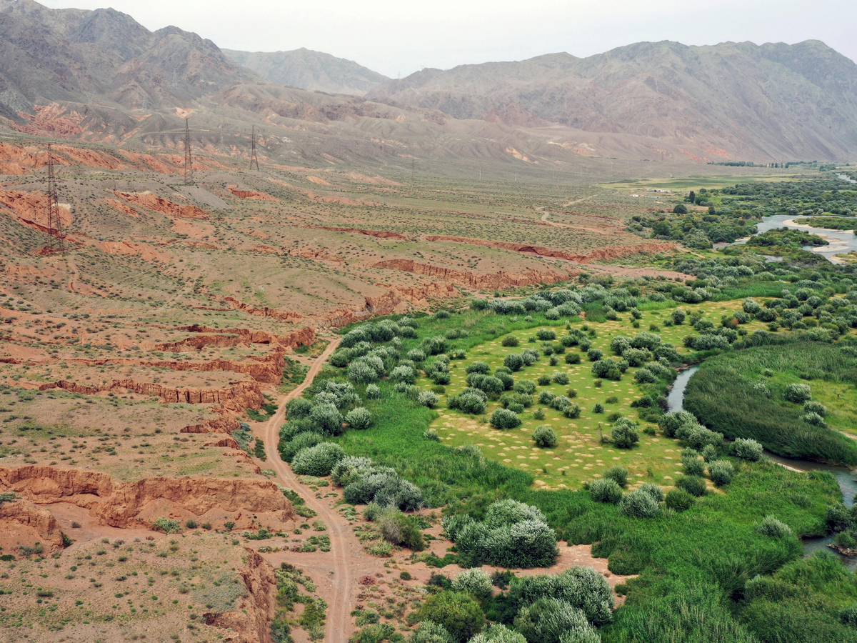 Только живые фото, никакой ии-доработки. Природа умеет лучше, чем техника