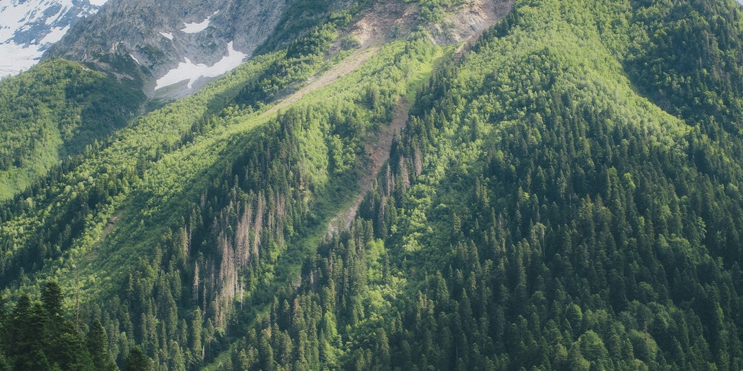 Вместо моря: три  горных курорта России и отели для семей