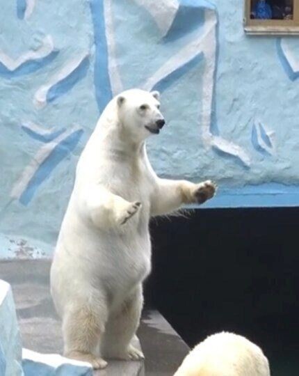     Источник: Соцсети