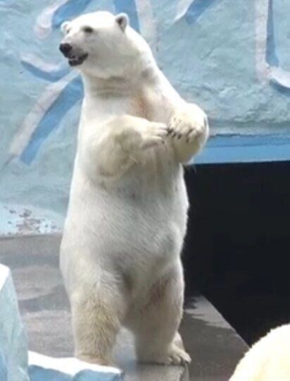     Источник: Соцсети