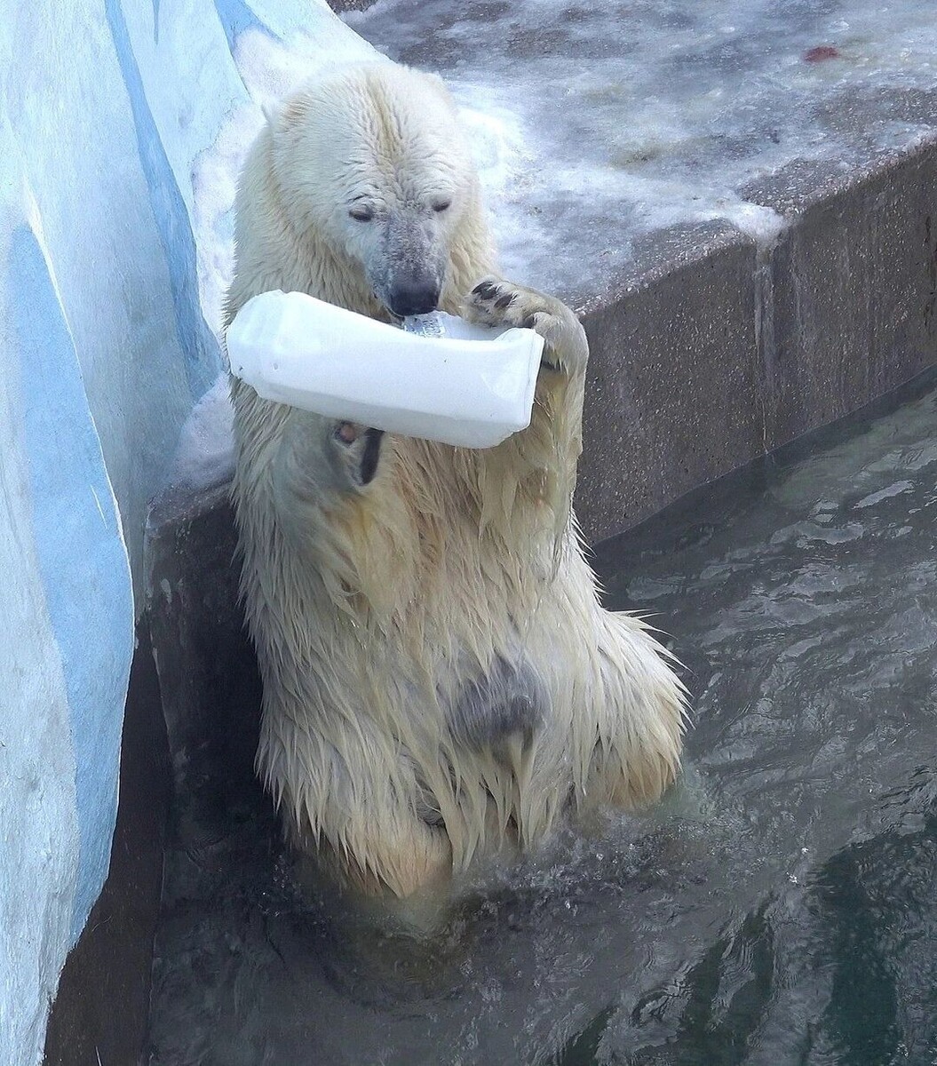     Источник: Соцсети