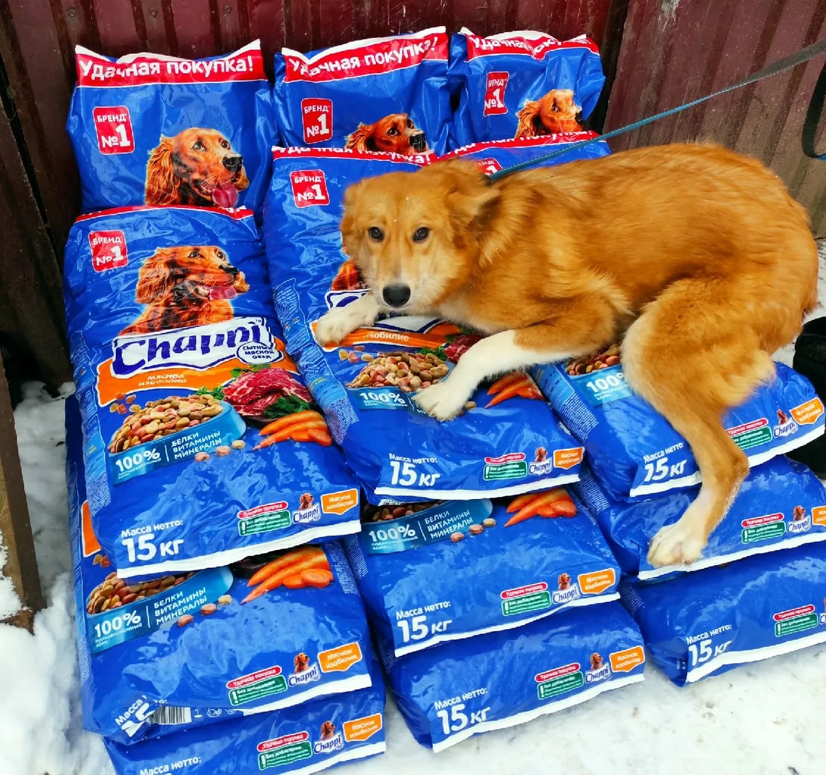 Фото из интернета