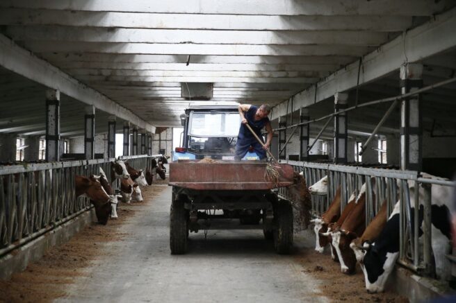    admkrai.krasnodar.ru