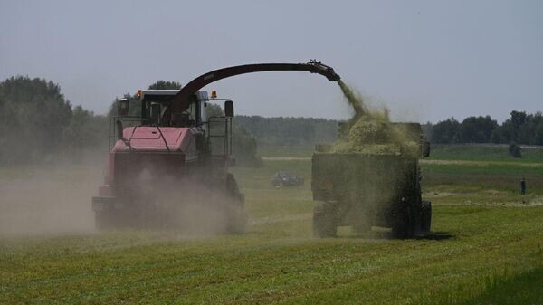    © Sputnik / Виктор Толочко