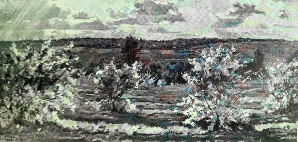 Сады цветут. 1955