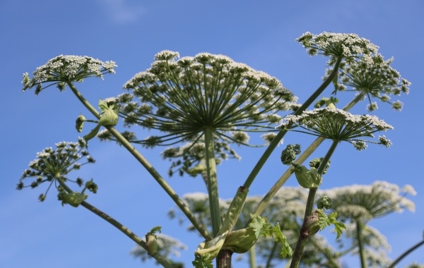 Фото: РИА Новости