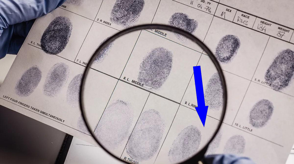    Тайна мертвых зон почему тела появляются там где их уже искали