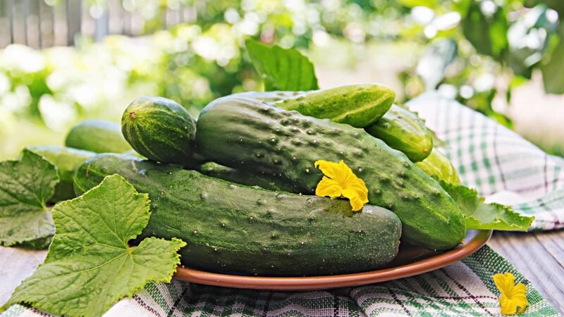     Огурцы. freepik.com/timolina