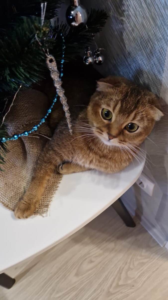 Из личногго архива