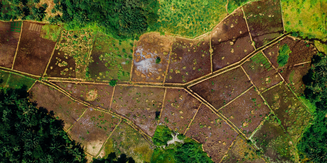 Как владельцам земельных участков, грозит им штраф или нет