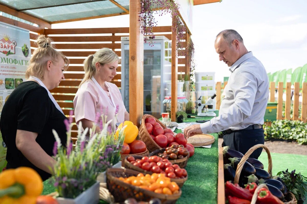 Фото: Александр Плонский / «Агроэксперт»