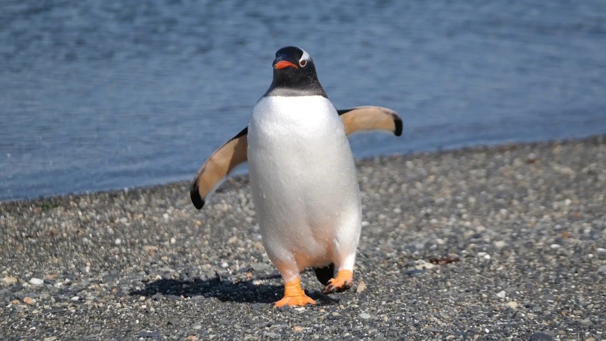 Фото с сайта: https://www.dagens.com/world/russia-considers-mega-merger-of-oil-giants-to-rival-worlds-top-producer