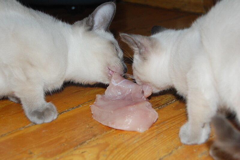 Вместе кушать веселее