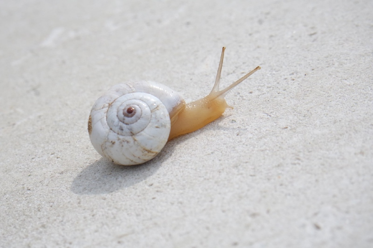 Керчь, Митридат, местная жительница