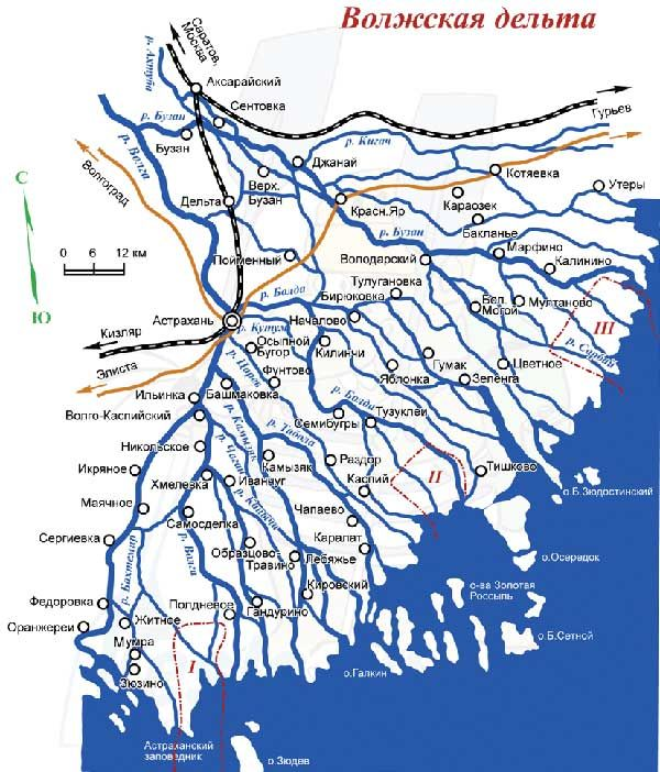 Карта дельты реки Волга. Дельта состоит из множества проток, островов, Ерики (узкие речные протоки), небольших озёр (ильмени), и заливов (Култуков)