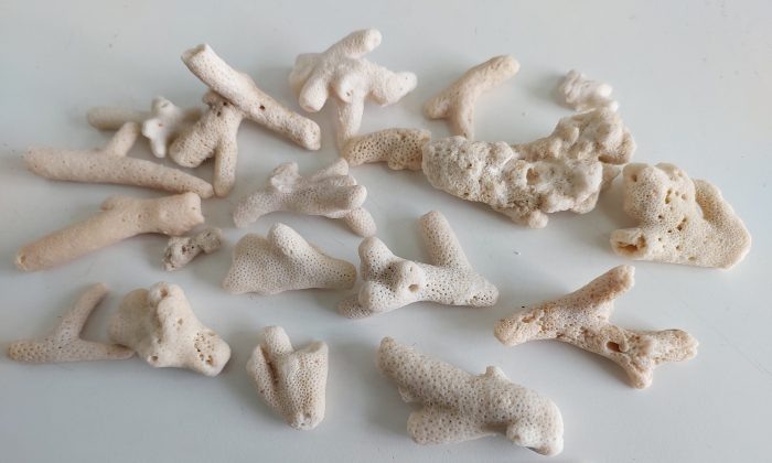 Фото Сибирского таможенного управления.