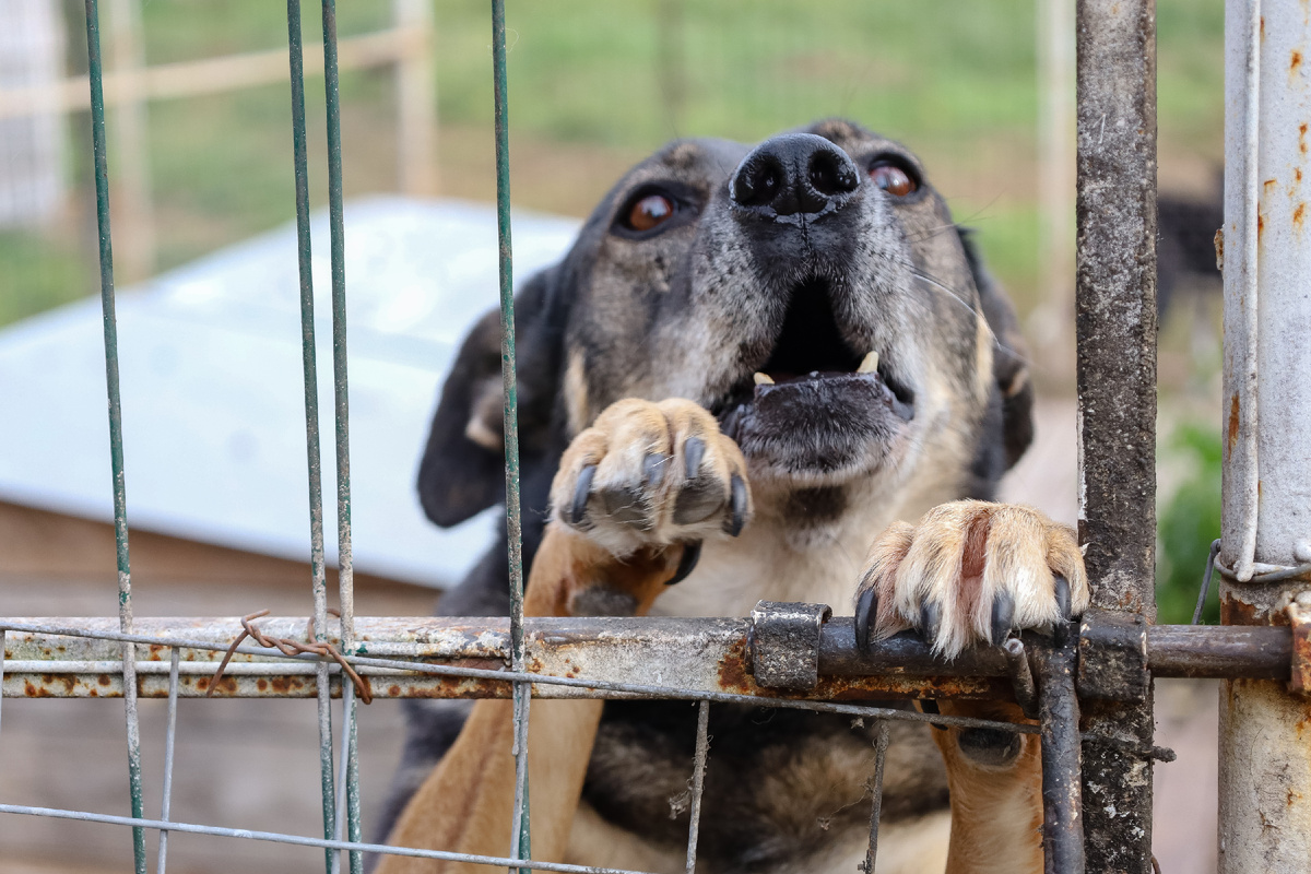 Фото: Elena Mayorova/Global Look Press
