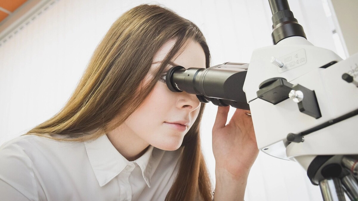     Источник: 1MI