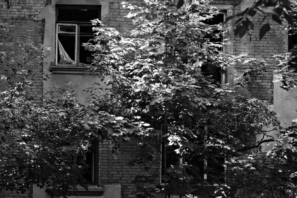 ©️photographer Sergey Karavaev #SOOC blog 365 days photo