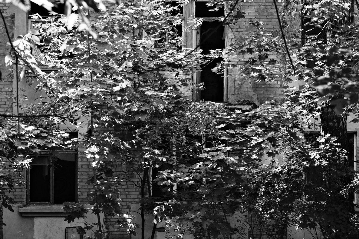 ©️photographer Sergey Karavaev #SOOC blog 365 days photo