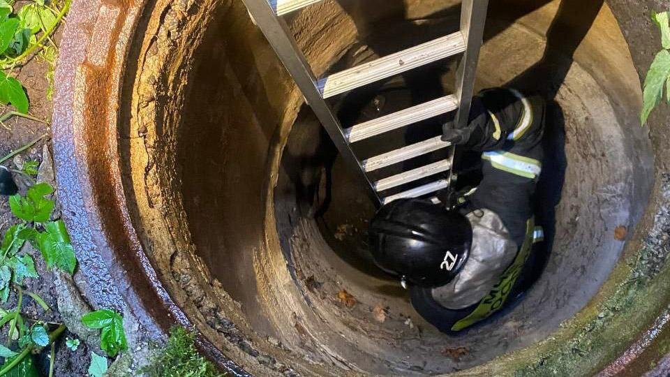    Фото: t.me/mchspetersburg