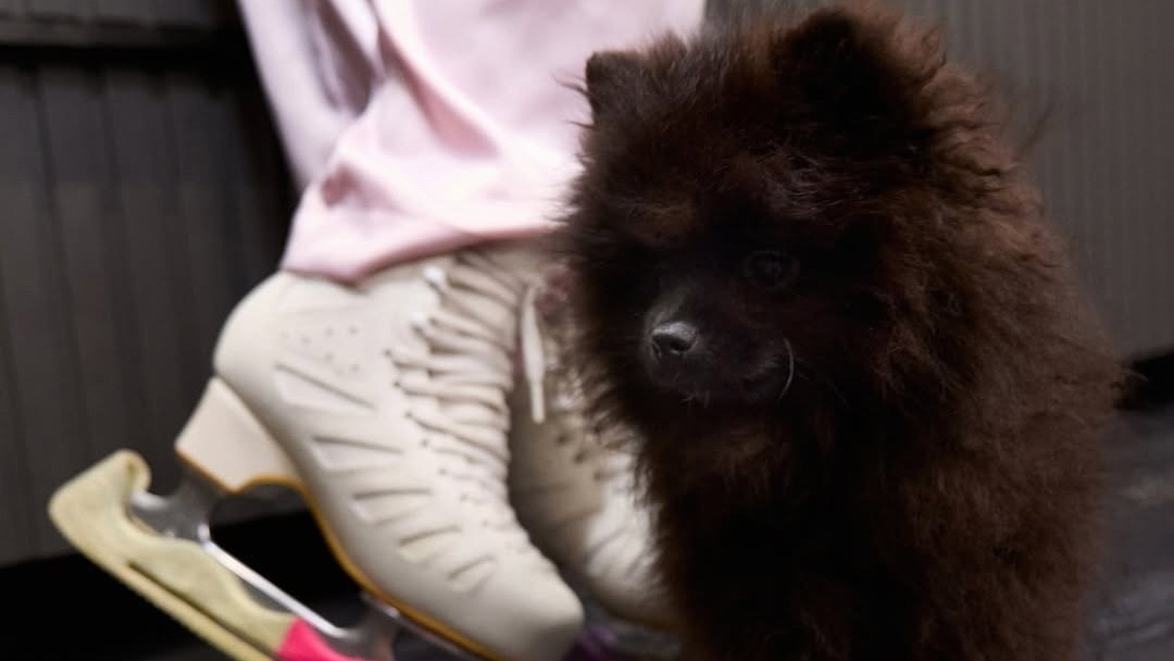 Фото: vk.com/avtrusovaofficial / ВК-сообщество Александры Трусовой