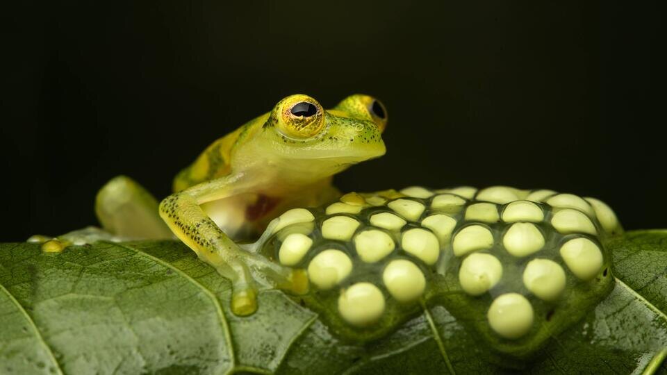 Фото: © imago stock&people/Imago/TASS