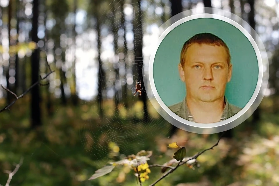 Две недели Александр Меркулов блуждал по тайге. Фото: ЛЕНЦ Мария/Архив КП, соцсети