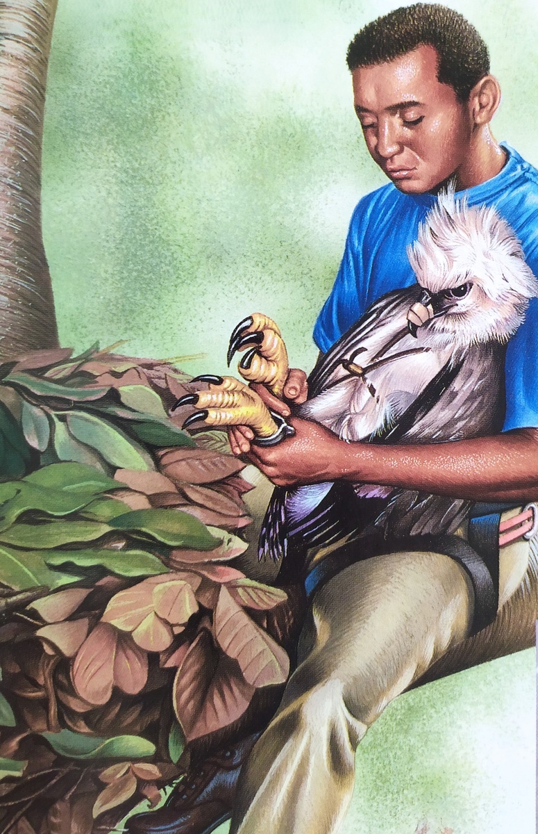 Око в небесах