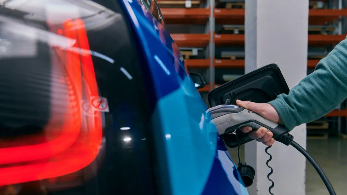    Фото: vm.ru Мария Михайлова