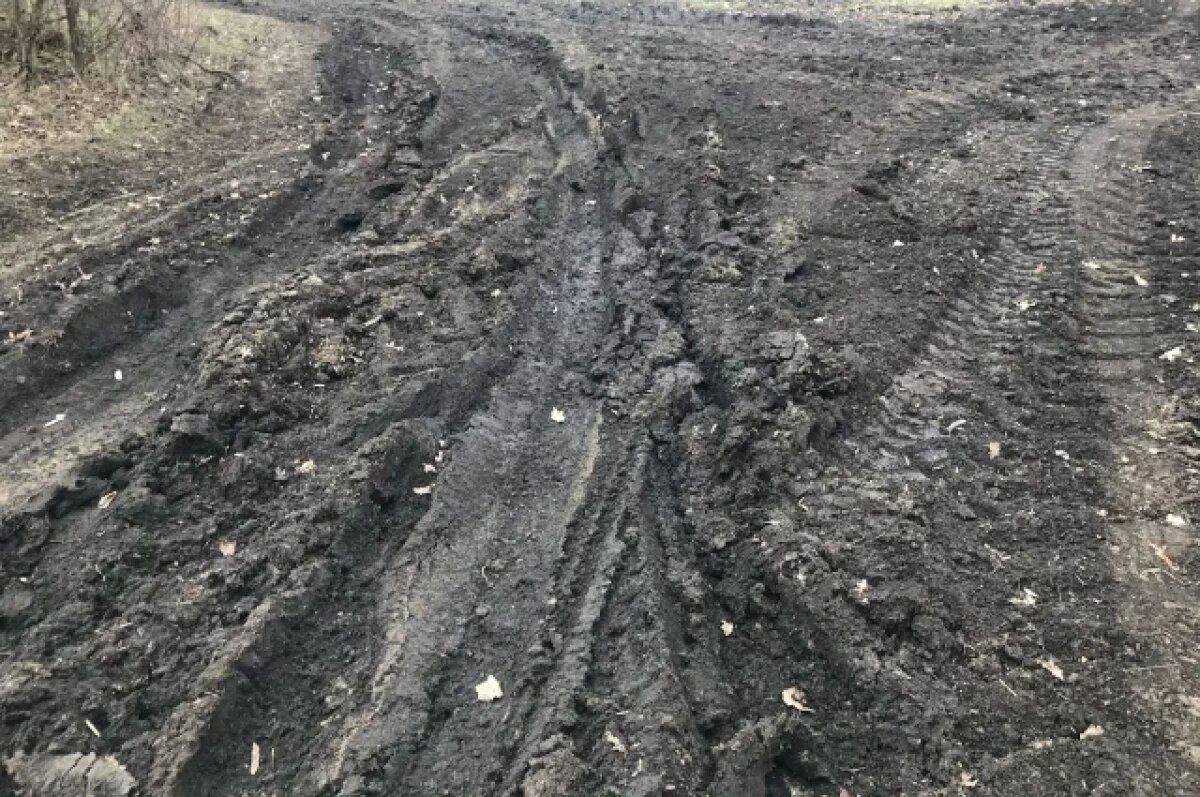    Бастрыкин поручил завести дело из-за разбитой дороги в орловском селе