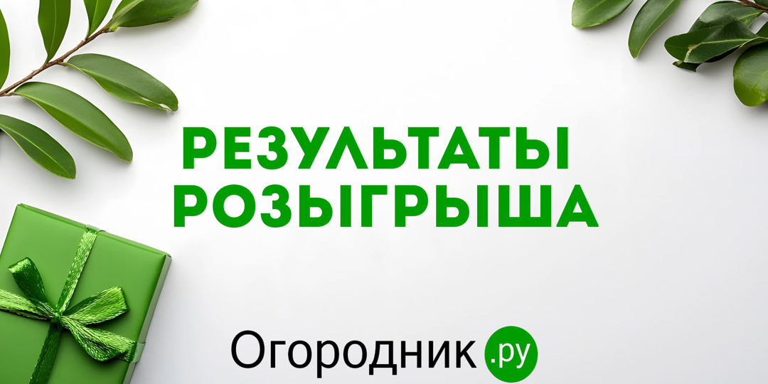 Ура! Объявляем победителей нашего розыгрыша 🎊
