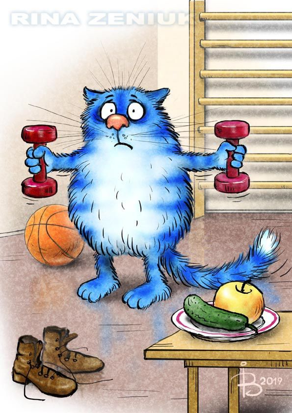 очаровательные коты Рины Зенюк