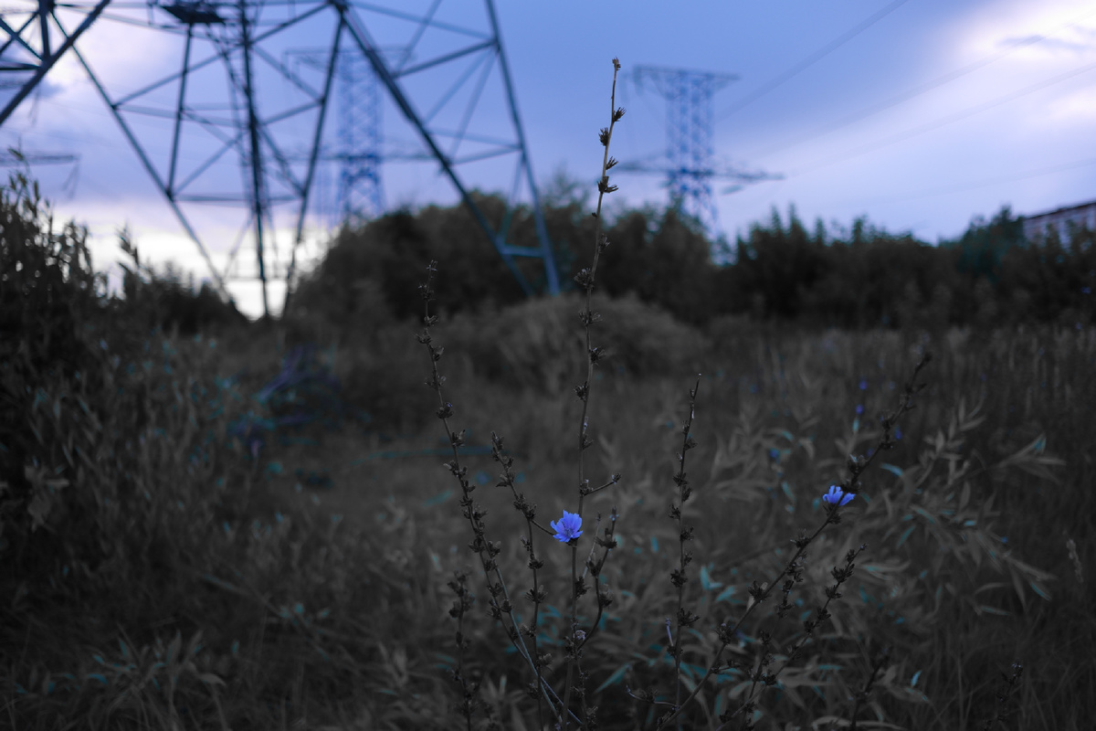 ©️photographer Sergey Karavaev