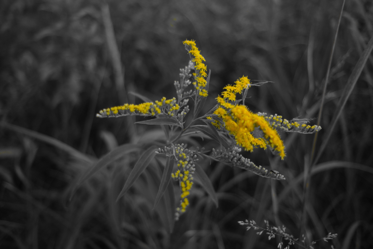 ©️photographer Sergey Karavaev