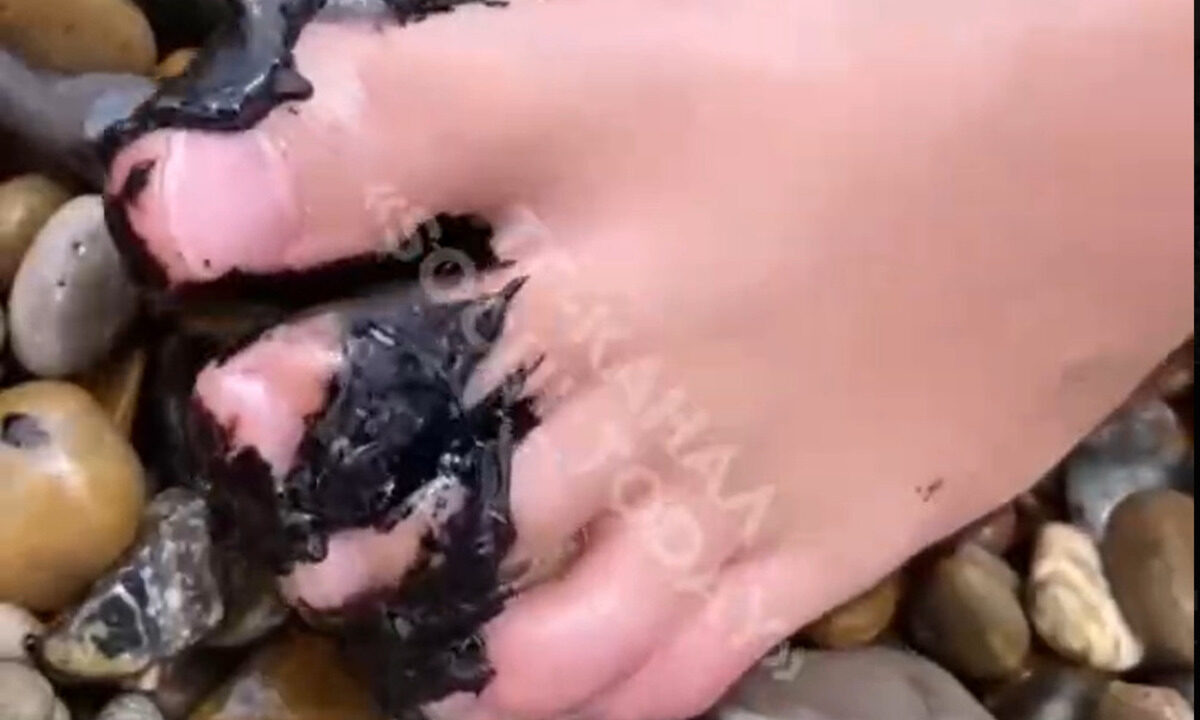    Фото t.me/sochiglav